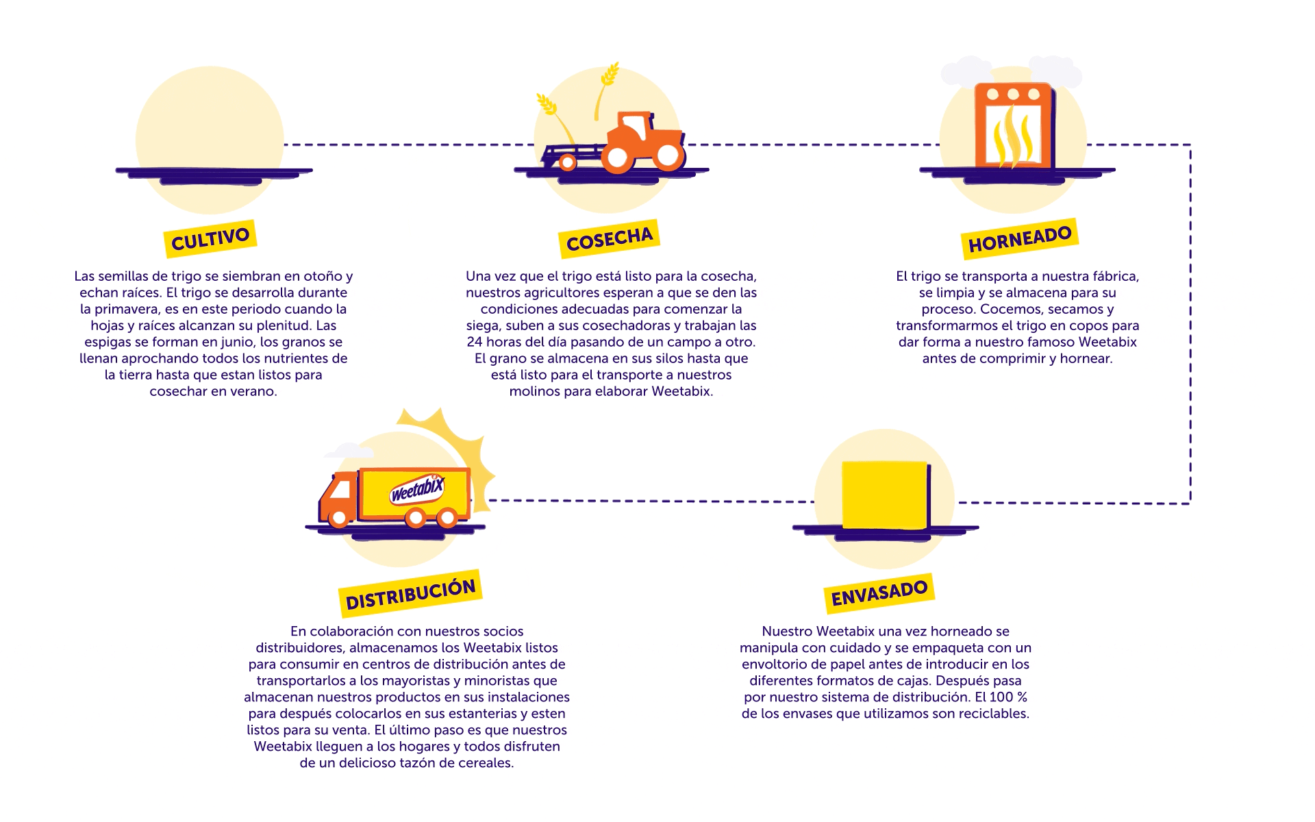 Weetabix farmers infographic desktop